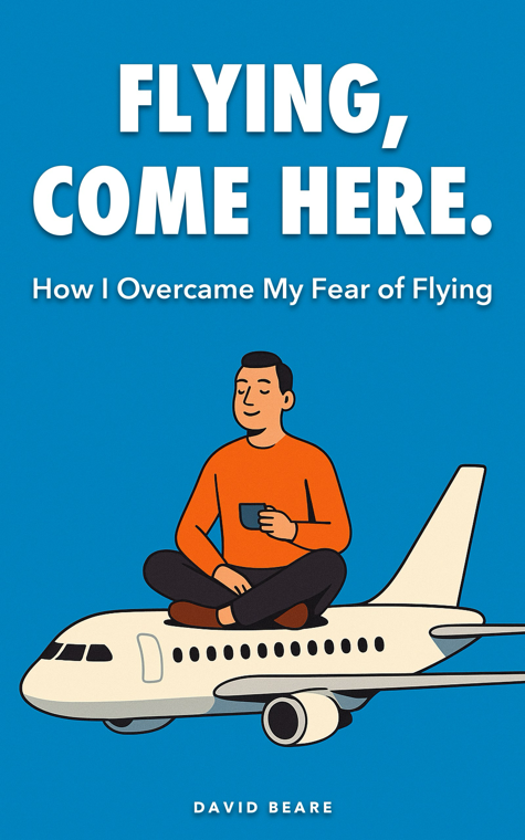 Flying, Come Here. cover